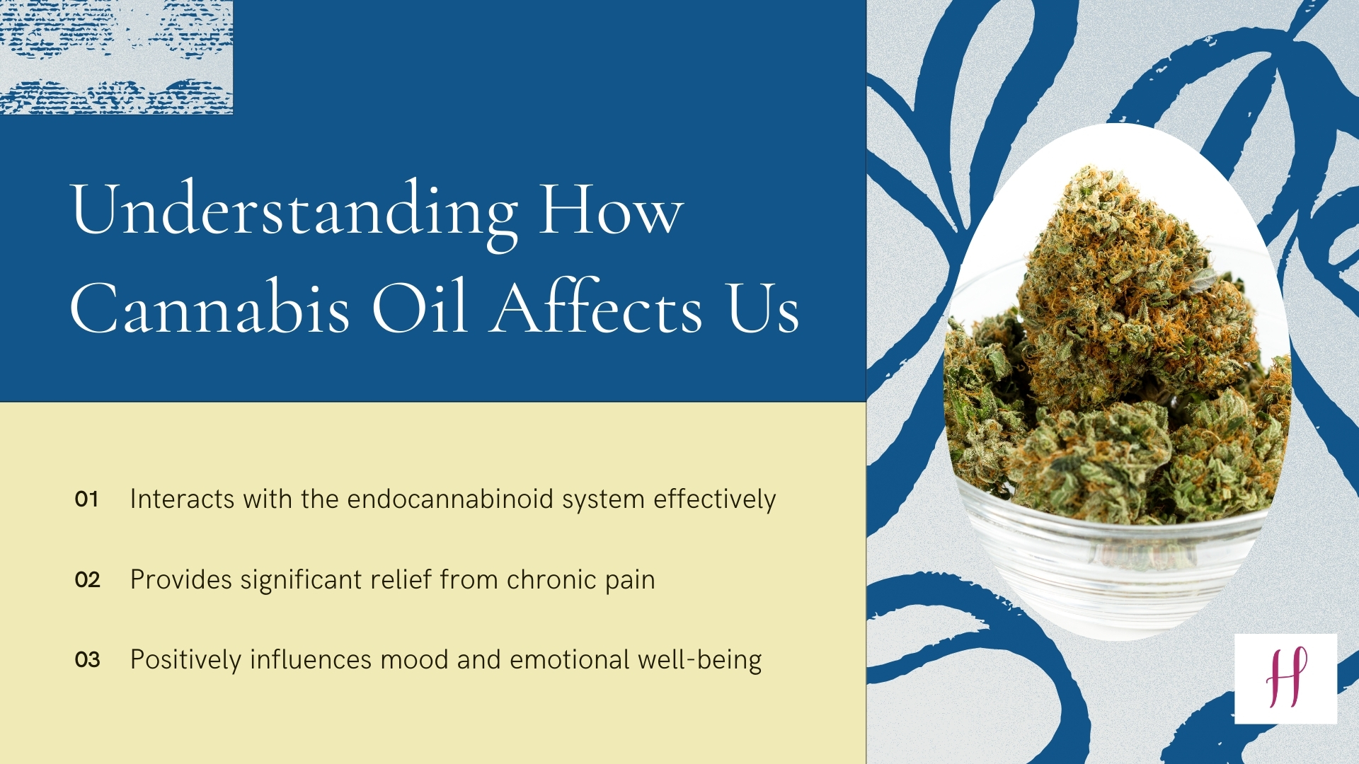 How Cannabis Oil Works in the Body